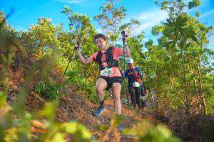 BIB: 907
                            <button type="button" onclick="openModal(21840897)" class="btn btn-primary btn-sm float-right btn-popup" data-toggle="modal" data-target=".modal-high-quality">
                        <i class="fas fa-shopping-cart"></i> Add to Cart
                    </button>
                                            <button type="button" onclick="isThisMe(21840897, true)" class="btn btn-success btn-sm float-right btn-popup btn-isme hidden" data-toggle="tooltip" data-placement="bottom" title="นี่คือรูปของคุณใช่ไหม คลิกที่นี่เพื่อเอาเข้าอัลบั้ม">
                        <i class="fas fa-plus"></i> Add to album
                    </button>
                    <button type="button" onclick="isThisMe(21840897, false)" class="btn btn-warning btn-sm float-right btn-popup btn-isnotme hidden">
                        <i class="fas fa-ban"></i> Remove from album
                    </button>